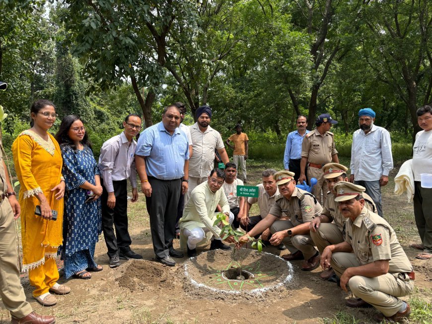 उत्तराखंड के लोक पर्व हरेला के अवसर पर विधायक शिव अरोरा ने टांडा रेंज मे वन अधिकारियो संग किया वृक्षारोपण*
