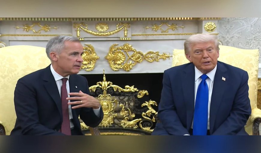 US Air Quality पर 'हमला' बर्दाश्त नहीं! Canada Wildfire Smoke पर Donald Trump का सख्त रुख, टैरिफ लगाने का ऐलान