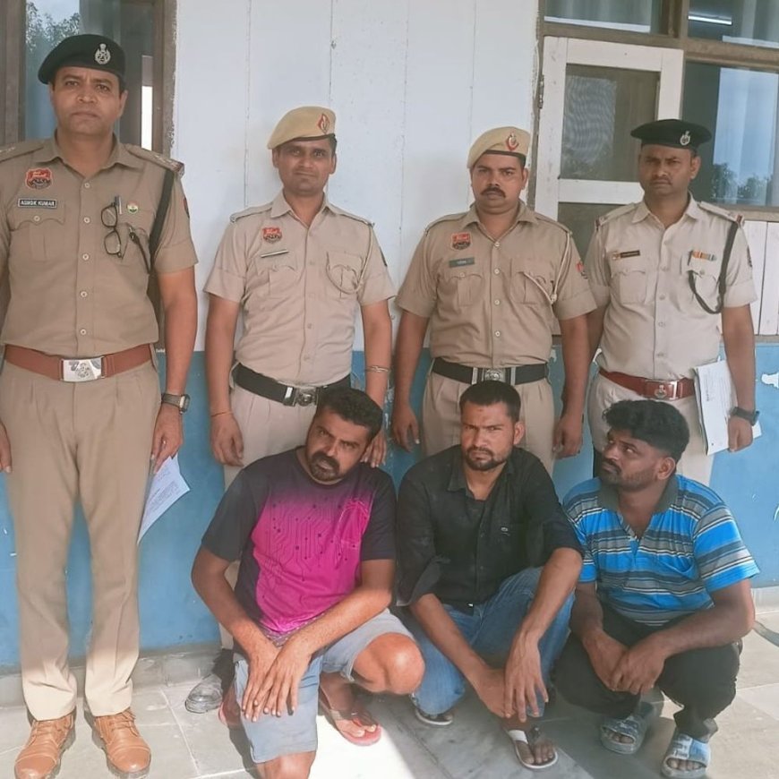 नूंह पुलिस ने मक्त कराई 16 गाय:तीन गोतस्कर गिरफ्तार, कैंटर में भरकर ला रहे थे, दो कनार्टक के रहने वाले