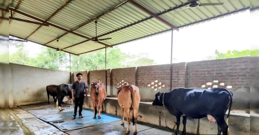 योगी सरकार की योजना से बदली किस्मत, डेयरी से सालाना हो रही 20 लाख की कमाई