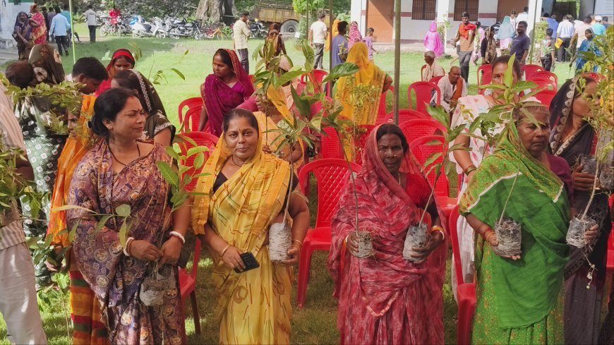 हरेला पखवाड़े के अंतर्गत सेवा संकल्प फाउंडेशन का हरित संकल्प: गीता धामी के निर्देशन में वृक्षारोपण एवं पौध वितरण कार्यक्रम आयोजित*
