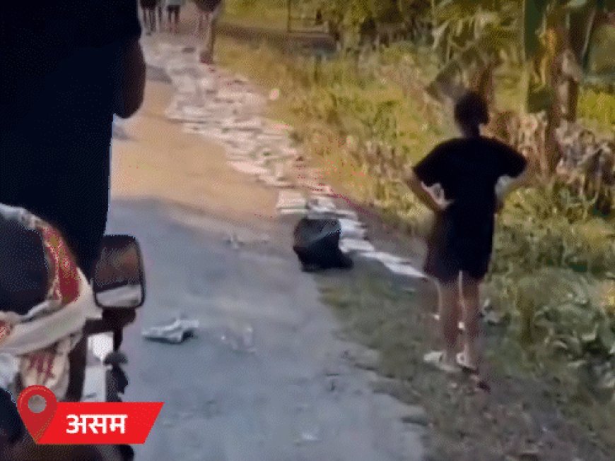 MP-राजस्थान में आज से फिर तेज बारिश:यूपी में 4 नदियां खतरे के निशान से ऊपर; हिमाचल में 27 दिन में 15 मौतें; 135 सड़कें बंद