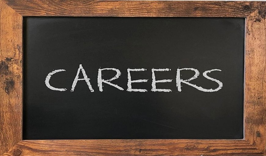 Graduation के बाद क्या करें? BA छात्रों के लिए LLB और BEd समेत ये हैं बेस्ट Top Career Options