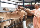 योगी सरकार की गो संरक्षण नीति से निकला गो सेवा के साथ रोजगार का नया रास्ता