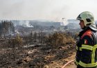 Belgium Wildfire: हाई फेंस वन क्षेत्र में भीषण आग से 27 वर्ग किमी इलाका राख हुआ