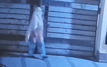यमुनानगर में गार्ड को बंधक बनाकर कारोबारी के घर लूट:मारपीट कर चाबियां छीनीं; महिला समेत 3 आरोपियों ने की वारदात