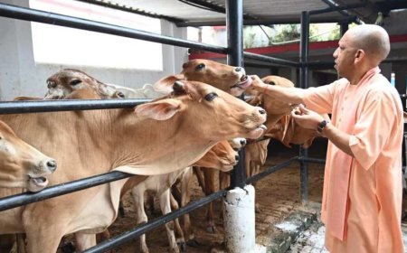 योगी सरकार की गो संरक्षण नीति से निकला गो सेवा के साथ रोजगार का नया रास्ता