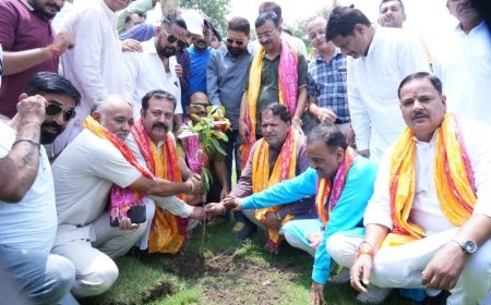 सावन में हरियाली का संदेश, बूथ स्तर तक पहुंचेंगे हजारों पौधे