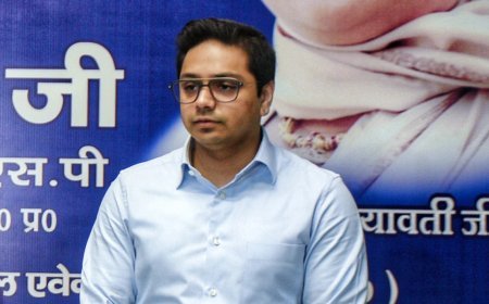 ‘इस बार वोट हाथी को, अपने पुराने साथी को', आकाश आनंद के नये नारे ने उड़ा दी UP में सारे राजनीतिक दलों की नींद