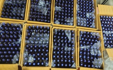 NCB Mumbai का Interstate Drug Network पर बड़ा एक्शन, Gujarat से Mumbai तक फैला था अवैध कारोबार