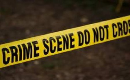Chicago Murder Case: पत्नी के दूसरी बार छोड़ने पर बेकाबू हुआ Mehsana का युवक, चाकुओं से गोदकर की हत्या