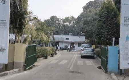 फरीदाबाद के 2 सेक्टरों लगेंगी सोलर कैट आई:रात के समय सड़क पर नहीं मिलेगा अंधेरा; 6 महीने में पूरा होगा काम