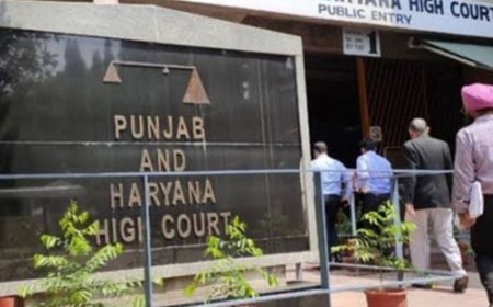लोन रिकवरी में सुस्ती पर हाईकोर्ट सख्त:पानीपत DC-SP को आदेश; 30 दिन में बैंक को बंधक संपत्ति का कब्जा दिलाएं