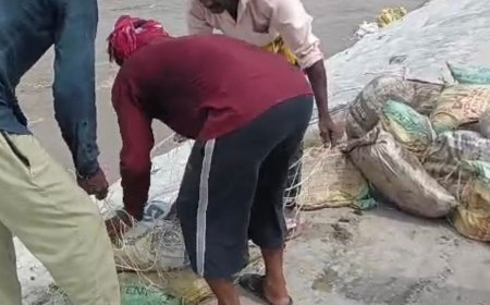 बिजनौर में गंगा तटबंध का हिस्सा धंसा:तेज धारा से हुआ नुकसान, सिंचाई विभाग ने शुरू किया बचाव कार्य