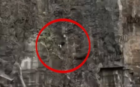 महाराष्ट्र पहाड़ हादसे से पहले मां ने किया था पोस्ट:कहा- रिश्ता ऐसा हो तो तोड़ देना चाहिए, दावा- आईफोन के लिए पहाड़ी से कूदा था बेटा