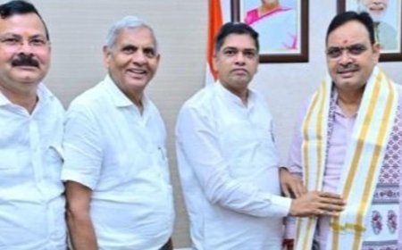 खनन उद्यमियों की समस्याएं लेकर CM से मिला प्रतिनिधिमंडल:ट्रैक्टर-ट्रॉली का ई-रवन्ना शुरू करने और वजन सीमा 6 टन करने की मांग
