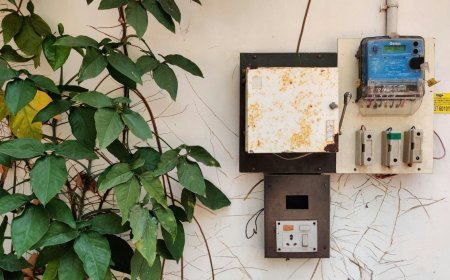भारी भरकम बिजली बिल से अब मिलेगा छुटकारा, अपनाएं ये Electricity Bill Saving Tips और बजट को रखें मेंटेन