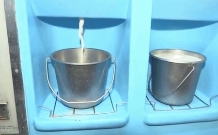 मुंबई में दूध ₹100 के पार, थोक भाव ₹9 बढ़ा:नई कीमत एक सितंबर से लागू; दही-पनीर के दाम भी बढ़ सकते हैं