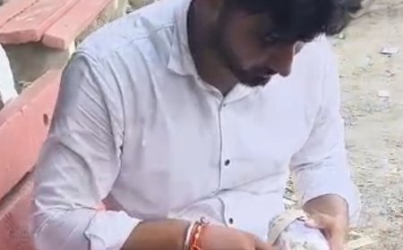 फरीदाबाद में संदिग्ध पनीर की बड़ी खेप पकड़ी:जांच के लिए सैंपल भेजे, दिल्ली में सप्लाई के लिए ले जा रहे थे