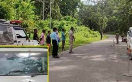 भास्कर अपडेट्स:मेघालय पुलिस-ATS की ईस्ट गारो हिल्स में हथियारबंद लोगों के साथ मुठभेड़, 4 मारे गए
