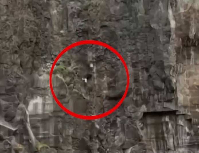 आईफोन के लिए पहाड़ी से कूदा बेटा:बचाने में पिता भी गिरे, सदमे में मां ने भी पहाड़ी से छलांग लगाई, छत्रपति संभाजीनगर का मामला