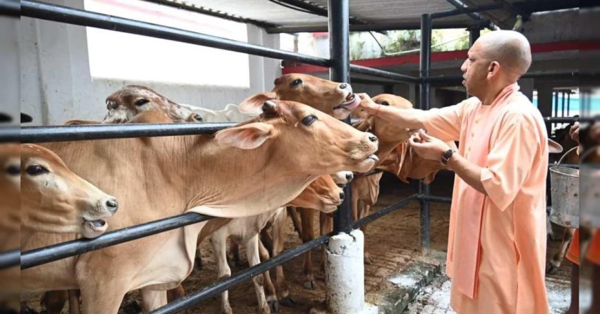 योगी सरकार की गो संरक्षण नीति से निकला गो सेवा के साथ रोजगार का नया रास्ता