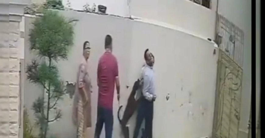 पटियाला में किराए का घर देखने गए दंपति पर पिटबुल का हमला, पत्नी की सर्जरी,  CCTV वीडियो वायरल