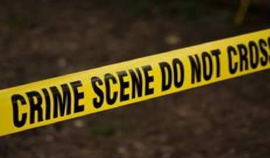 Chicago Murder Case: पत्नी के दूसरी बार छोड़ने पर बेकाबू हुआ Mehsana का युवक, चाकुओं से गोदकर की हत्या