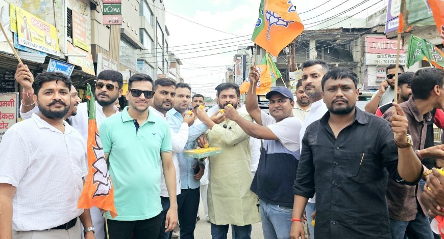 युवा आयोग की घोषणा पर भाजयुमो ने जताया आभार, आतिशबाजी कर मनाई खुशी