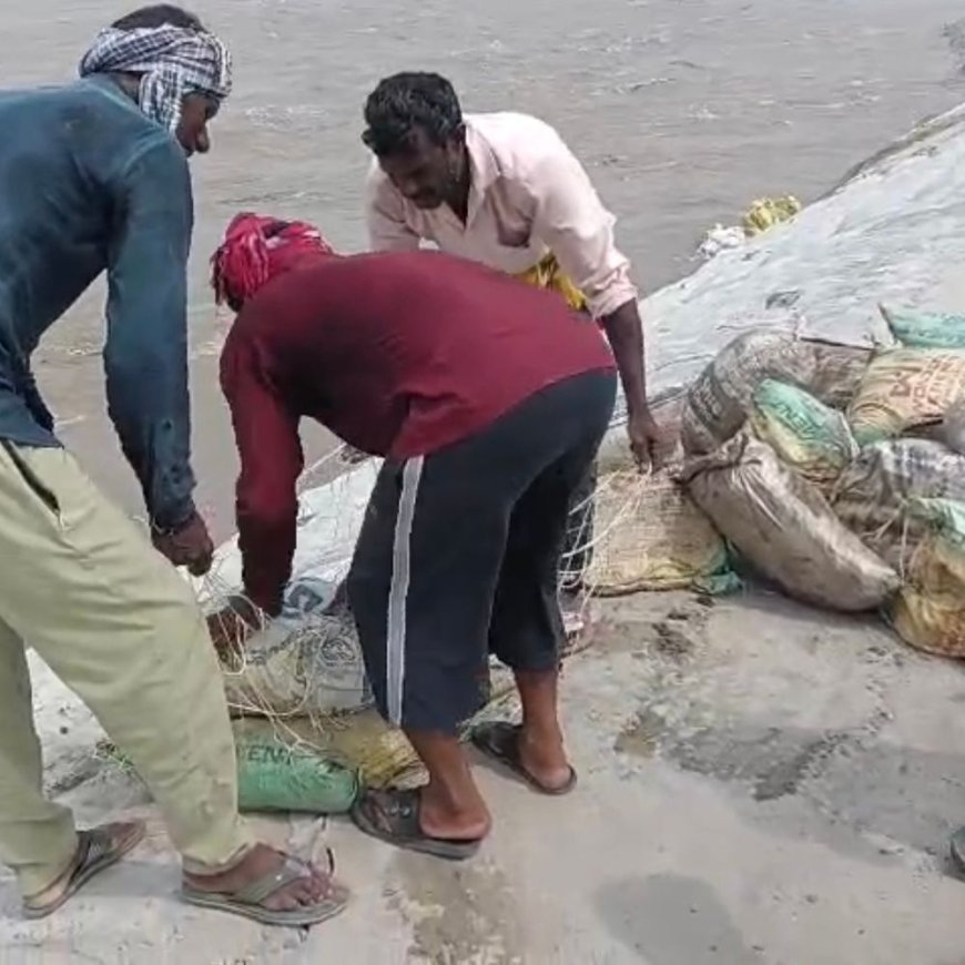 बिजनौर में गंगा तटबंध का हिस्सा धंसा:तेज धारा से हुआ नुकसान, सिंचाई विभाग ने शुरू किया बचाव कार्य