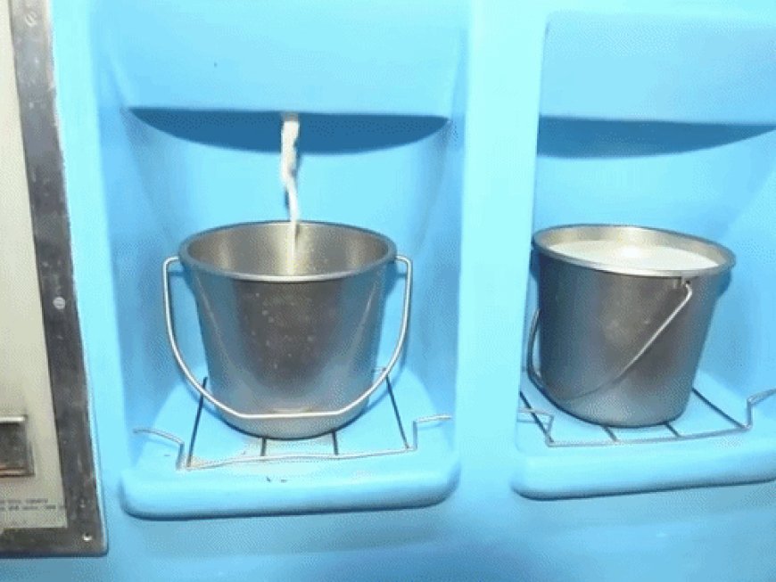 मुंबई में दूध ₹100 के पार, थोक भाव ₹9 बढ़ा:नई कीमत एक सितंबर से लागू; दही-पनीर के दाम भी बढ़ सकते हैं