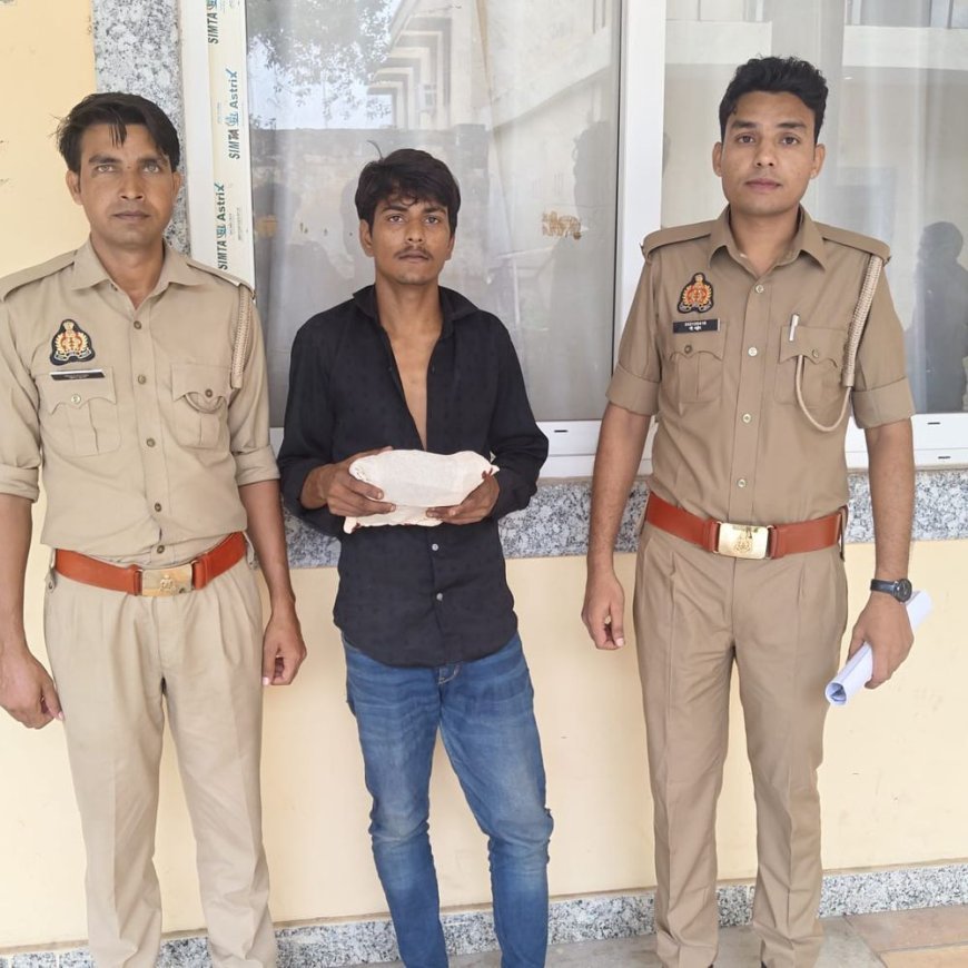 मंदिर से 4 तांबे के नाग देवता चुराने वाला गिरफ्तार:बेचने की फिराक में था आरोपी, CCTV से पुलिस ने 24 घंटे में पकड़ा