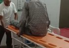 ब्यावर-पिंडवाड़ा फोर लेन पर बाइक फिसली, तीन युवक गंभीर घायल:शनि धाम मंदिर के पास हुआ हादसा, एंबुलेंस ने ट्रॉमा सेंटर पहुंचाया