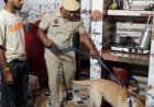 पंचकूला पुलिस का तीन कॉलोनियों में सर्च ऑपरेशन:6 संदिग्ध लोगों को हिरासत में लिया, 46 बाइक जब्त की, किराएदारों का वेरिफिकेशन की हिदायत