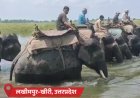 उत्तराखंड में 170 फीट लंबा ब्रिज बहा:छत्तीसगढ़ में 2 कॉलेज स्टूडेंट्स नदी में लापता; बिहार में 47 लाख लोग बाढ़ प्रभावित, MP-राजस्थान में बारिश