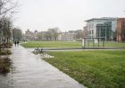 The Hague में शरणार्थी नीति विरोधी प्रदर्शन में भड़की हिंसा, पुलिस ने कई लोगों को पकड़ा