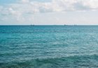 Caribbean Sea में संदिग्ध ड्रग बोट पर US Military का हमला, 4 लोगों की मौत