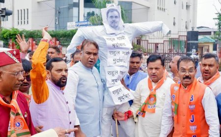 भाजपा एससी मोर्चा ने प्रदेशभर में राहुल का पुतला दहन कर किया जबरदस्त प्रदर्शन!