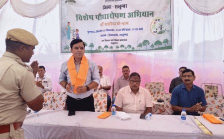 धावड़ी मगरी में 'एक पेड़ मां यशोदा के नाम' अभियान:350 से ज्यादा लोगों ने लिया हिस्सा, अधिकारियों ने संरक्षण का संकल्प लिया