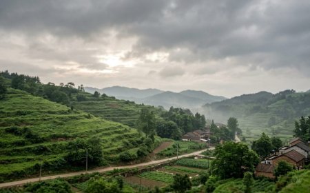 पूर्वी China में Cyclone Saudel की बारिश से Landslide, 2 की मौत और 10 लापता