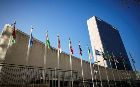 UN Experts का Pakistan पर कड़ा प्रहार, Balochistan में Imran Ali की Extra-Judicial Killing पर मांगी निष्पक्ष जांच
