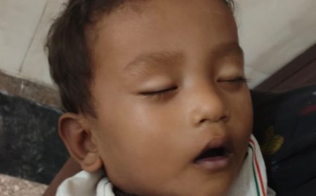 19 महीने के बच्चे को सांप ने डसा, मौत:कुरुक्षेत्र में पोल्ट्री फार्म के बाहर खेल रहा था; शरीर पड़ा नीला; इलाज के दौरान मौत
