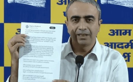 AAP बोली-राघव चड्ढा का दिल्ली में हफ्ते में वोट बना:MP बोले- ये मेरे इश्क में पागल, सपने में आता हूं; कहीं नसें न काट लें