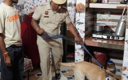 पंचकूला पुलिस का तीन कॉलोनियों में सर्च ऑपरेशन:6 संदिग्ध लोगों को हिरासत में लिया, 46 बाइक जब्त की, किराएदारों का वेरिफिकेशन की हिदायत
