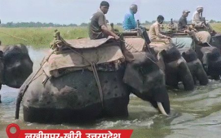 उत्तराखंड में 170 फीट लंबा ब्रिज बहा:छत्तीसगढ़ में 2 कॉलेज स्टूडेंट्स नदी में लापता; बिहार में 47 लाख लोग बाढ़ प्रभावित, MP-राजस्थान में बारिश