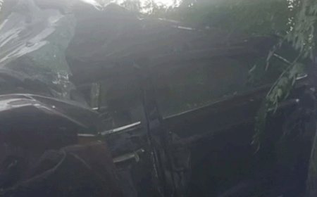 नारनौल में बेकाबू हुई स्कॉर्पियो, पेड़ से टकराई:निजामपुर से आ रहे थे गाड़ी सवार, सभी लोग सुरक्षित बचे, पुलिस कर रही जांच