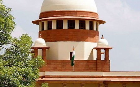 सुप्रीम कोर्ट की सलाह- युवा वकील सीनियर्स से ट्रेनिंग लें:उनके बिना पेशे की बारीकियां नहीं जान सकते, कोर्ट में क्या नहीं बोलना यह भी सीखेंगे