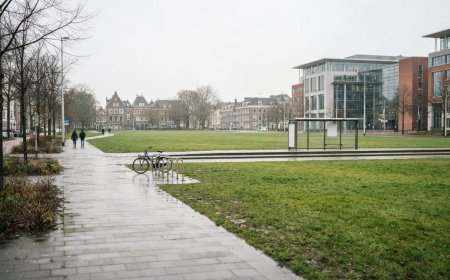 The Hague में शरणार्थी नीति विरोधी प्रदर्शन में भड़की हिंसा, पुलिस ने कई लोगों को पकड़ा