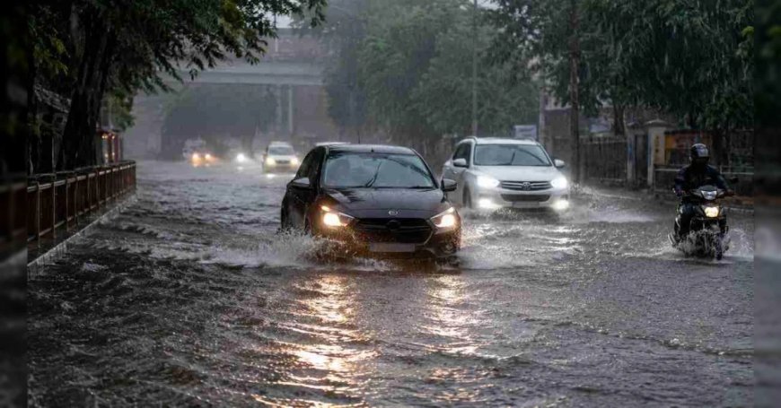 MP समेत इन राज्यों में भी बरसेंगे बादल, IMD Weather Forecast- यूपी-दिल्ली-NCR में भारी बारिश का अलर्ट
