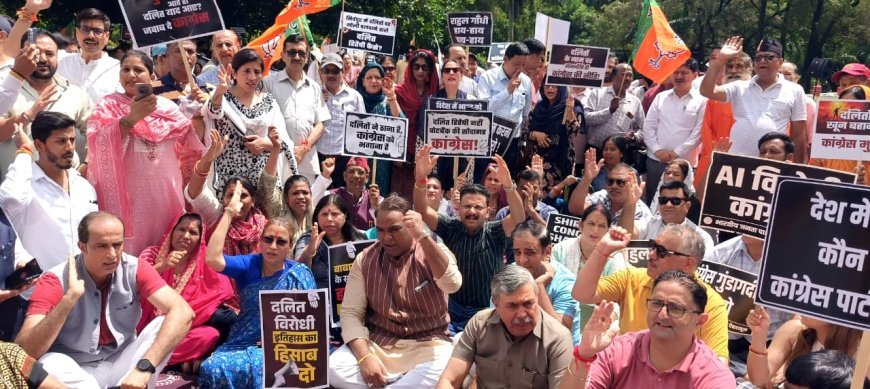 सामाजिक सौहार्द और सम्मान के मुद्दे पर भाजपा अनुसूचित जाति मोर्चा का प्रदेशव्यापी धरना